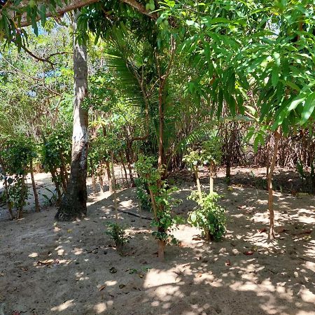 Bed and Breakfast Cabana Playa Cambiaso à Puerto Plata Extérieur photo