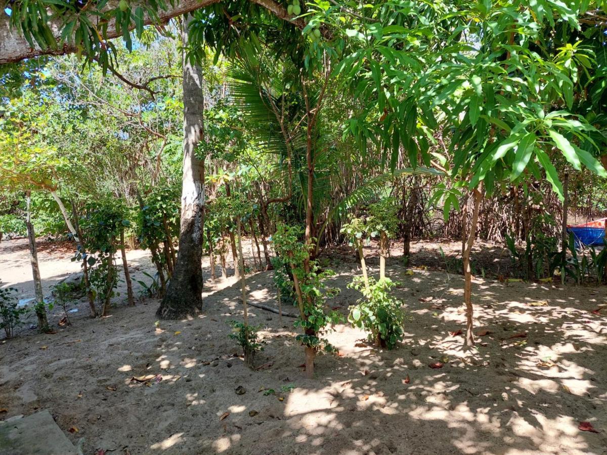 Bed and Breakfast Cabana Playa Cambiaso à Puerto Plata Extérieur photo